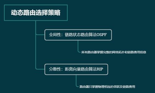 計算機(jī)網(wǎng)絡(luò)基礎(chǔ) 路由選擇協(xié)議與軟硬件及網(wǎng)絡(luò)技術(shù)開發(fā)